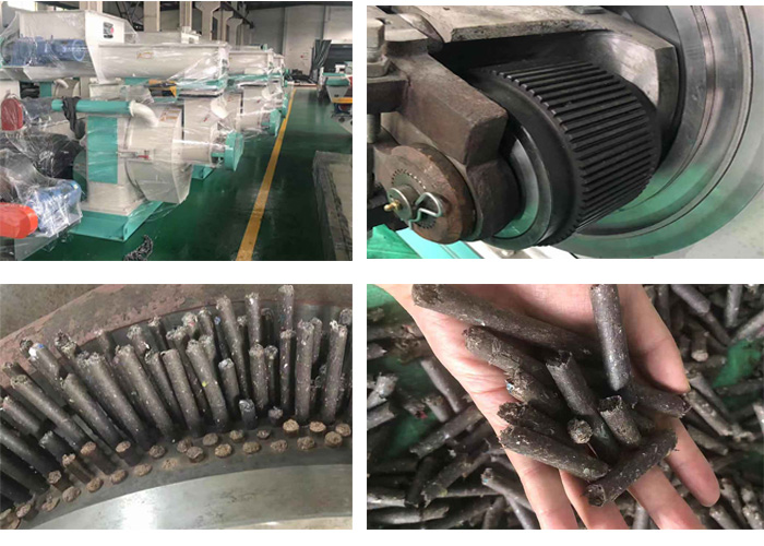 biomass pellet machine.jpg